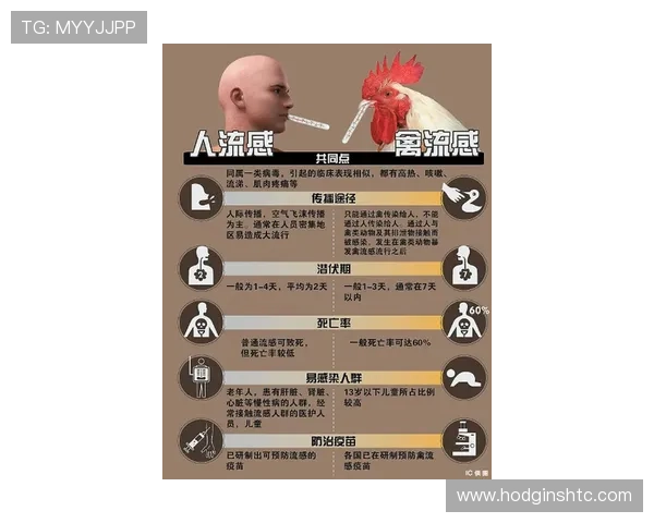 百家乐路单图详解：如何通过图示分析提升你的赢钱概率